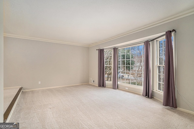 carpeted spare room with ornamental molding and a textured ceiling