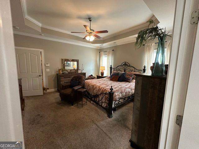 bedroom with ceiling fan, ornamental molding, carpet flooring, and a raised ceiling