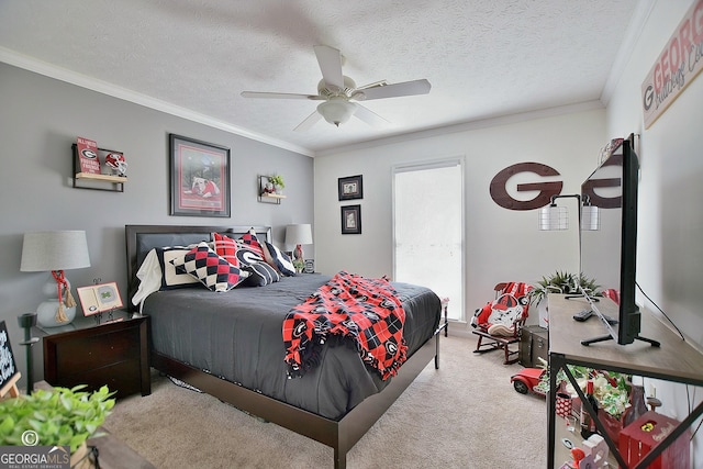 carpeted bedroom with multiple windows, ornamental molding, and a textured ceiling