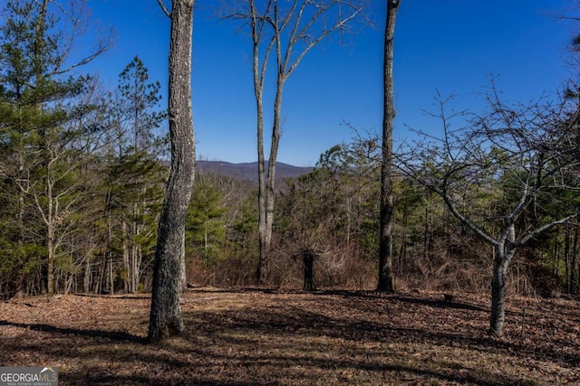 view of mountain feature