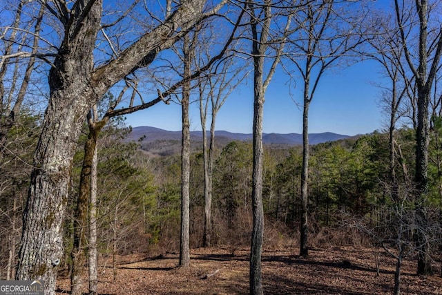 view of mountain feature