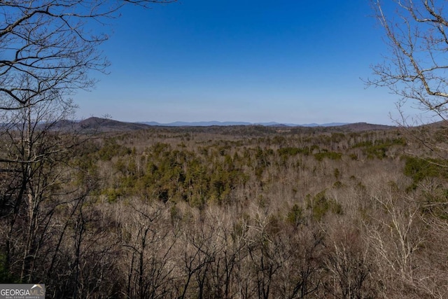 view of mountain feature