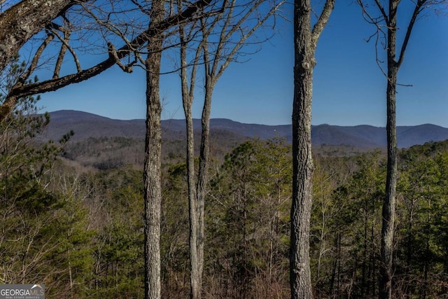 view of mountain feature