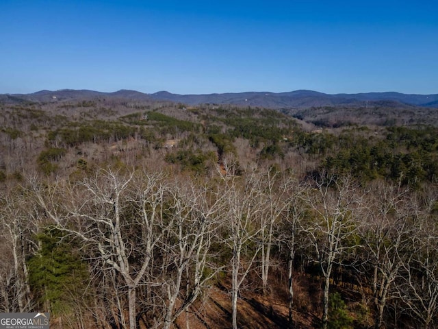 view of mountain feature