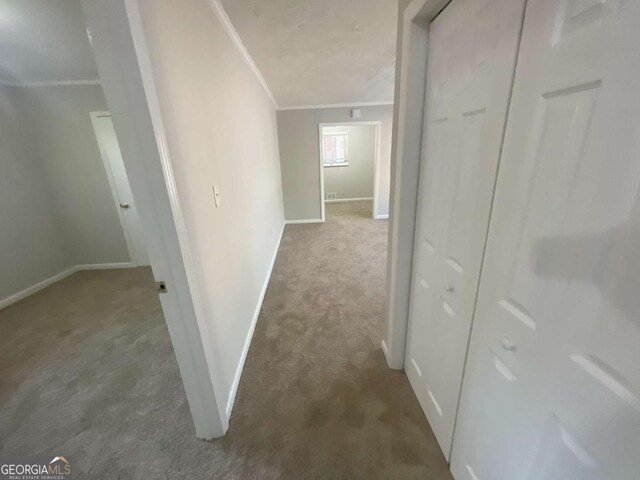 hall with ornamental molding and dark colored carpet