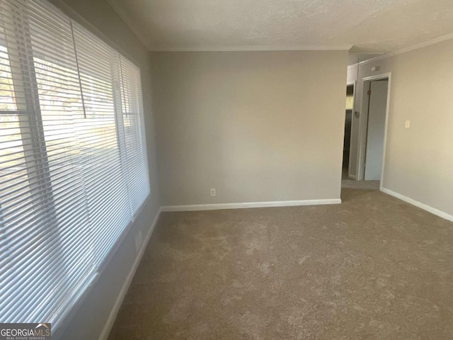 carpeted spare room featuring crown molding and a textured ceiling