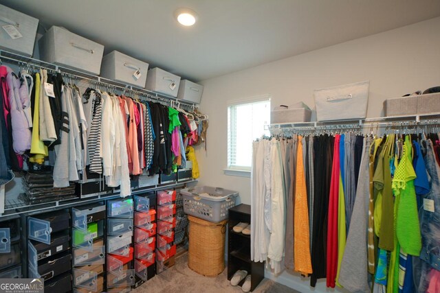 view of spacious closet