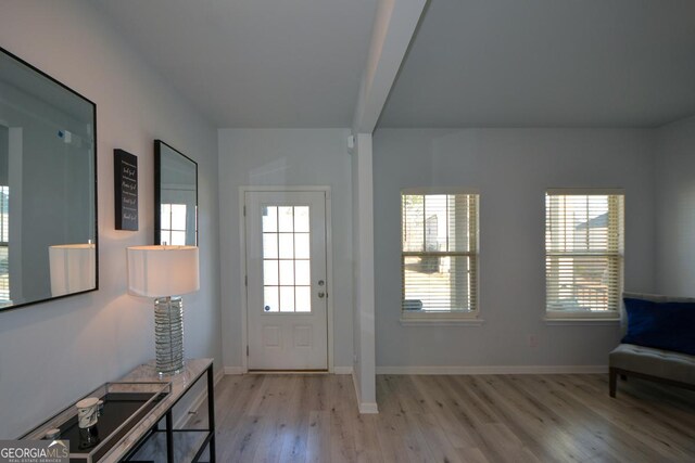 entryway with plenty of natural light and light hardwood / wood-style floors