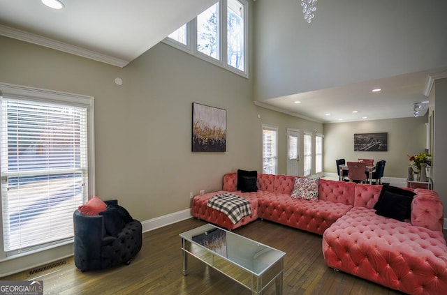 living room with a towering ceiling, ornamental molding, and dark hardwood / wood-style floors