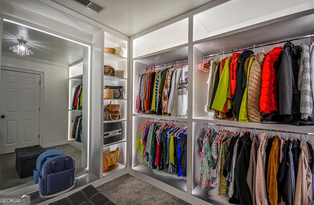 view of walk in closet