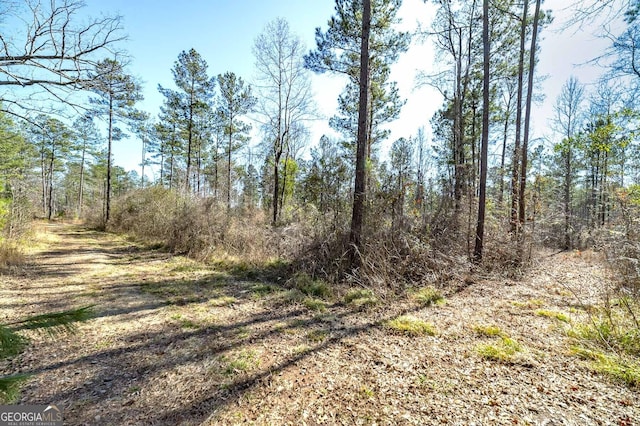 0 Dean Patrick Rd, Jackson, GA 30233