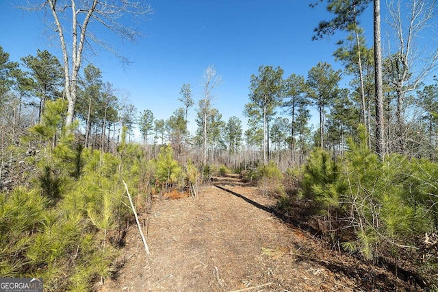 0 Dean Patrick Rd, Jackson, GA 30233