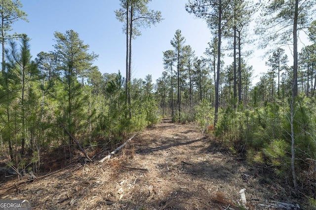 0 Dean Patrick Rd, Jackson, GA 30233