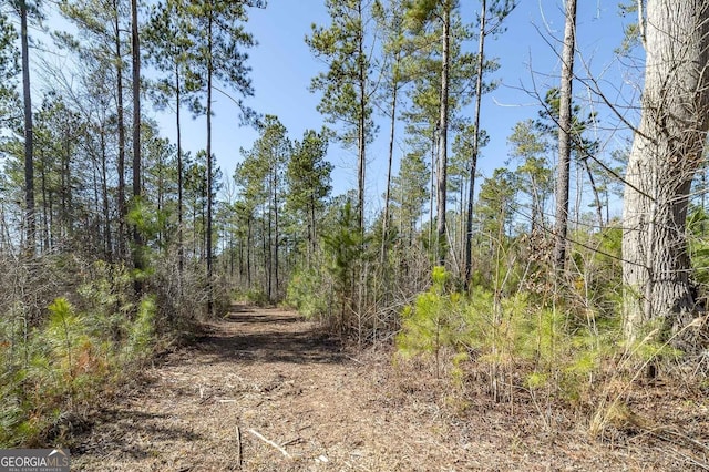 0 Dean Patrick Rd, Jackson, GA 30233