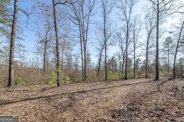 0 Dean Patrick Rd, Jackson, GA 30233