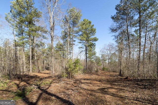 0 Dean Patrick Rd, Jackson, GA 30233