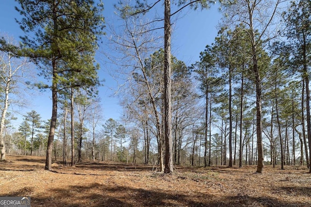 0 Dean Patrick Rd, Jackson, GA 30233