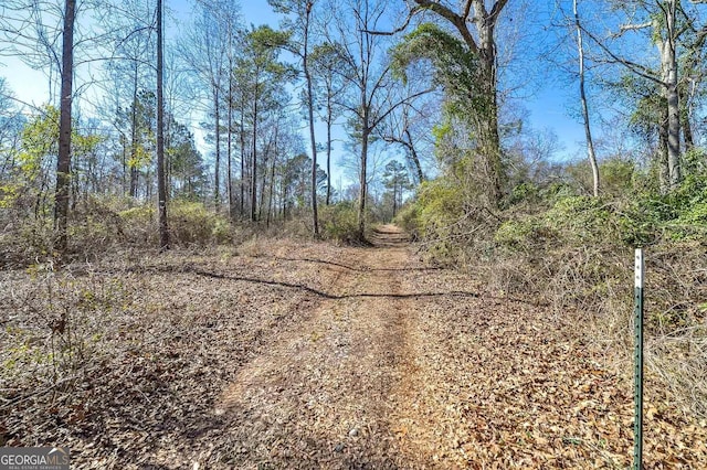 0 Dean Patrick Rd, Jackson, GA 30233