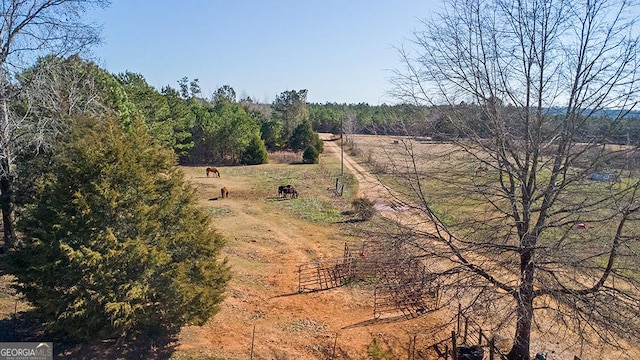 view of landscape featuring a rural view