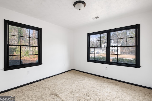 unfurnished room with carpet flooring, a textured ceiling, and a wealth of natural light