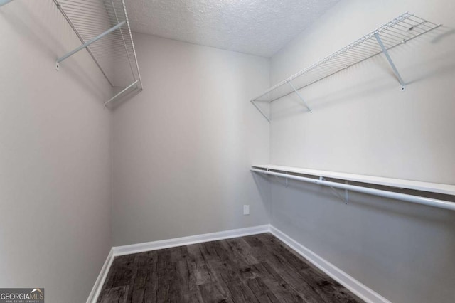 spacious closet featuring dark hardwood / wood-style flooring