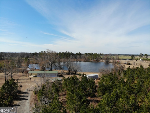 property view of water