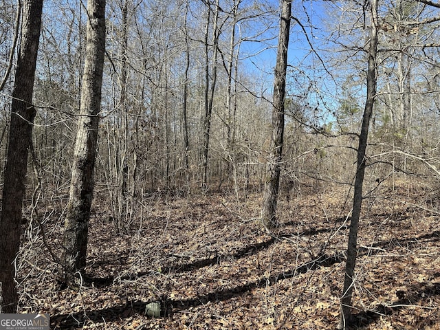 LOT1 Branch Hebron Rd Unit 12Acres, Greenville GA, 30222 land for sale