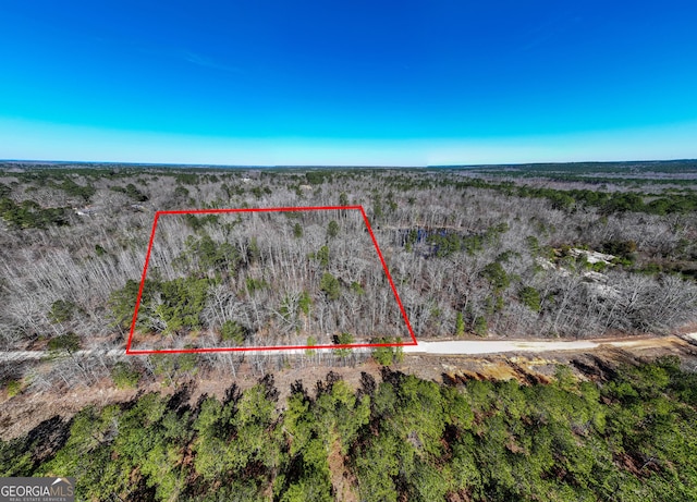 LOT1-10ACR Branch Hebron Rd Unit 10Acres, Greenville GA, 30222 land for sale