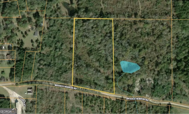 Listing photo 3 for LOT1-10ACR Branch Hebron Rd Unit 10Acres, Greenville GA 30222