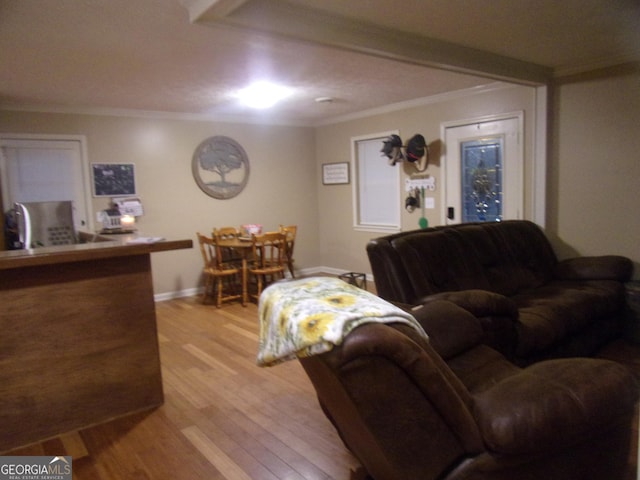 living room with ornamental molding and light hardwood / wood-style flooring