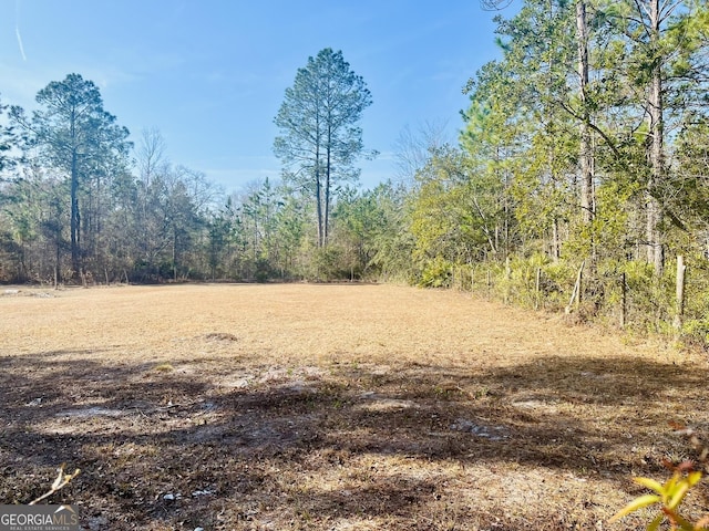 277 Deer Run Rd, Folkston, GA 31537 - view of nature with a view of trees