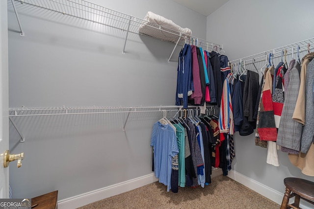 spacious closet featuring carpet