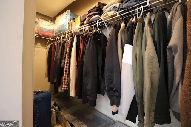 view of walk in closet