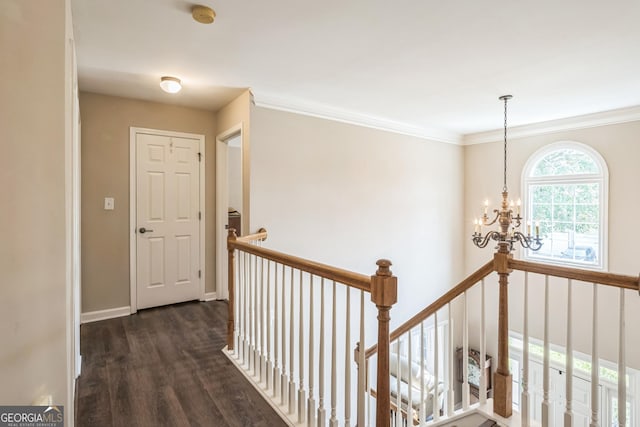 hall with an inviting chandelier, crown molding, and dark wood-type flooring