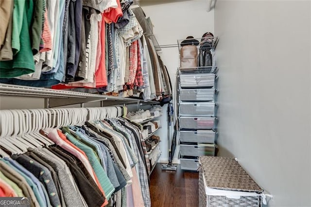 spacious closet featuring dark wood-type flooring