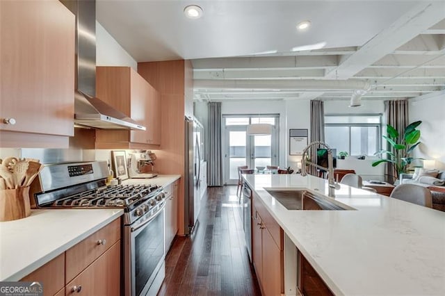 kitchen with a healthy amount of sunlight, sink, wall chimney exhaust hood, and appliances with stainless steel finishes