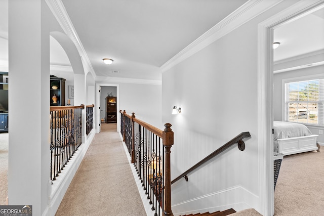 hallway with ornamental molding and light carpet