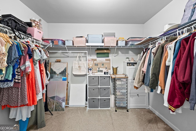 spacious closet with carpet floors