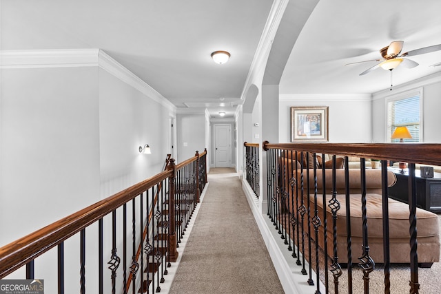 corridor featuring crown molding and carpet floors