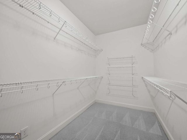 spacious closet featuring carpet floors