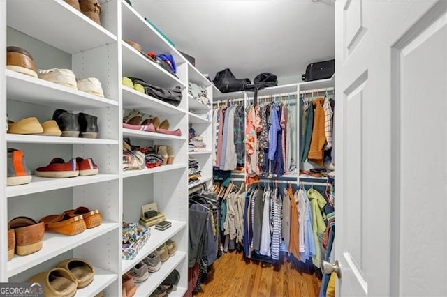 spacious closet with hardwood / wood-style flooring