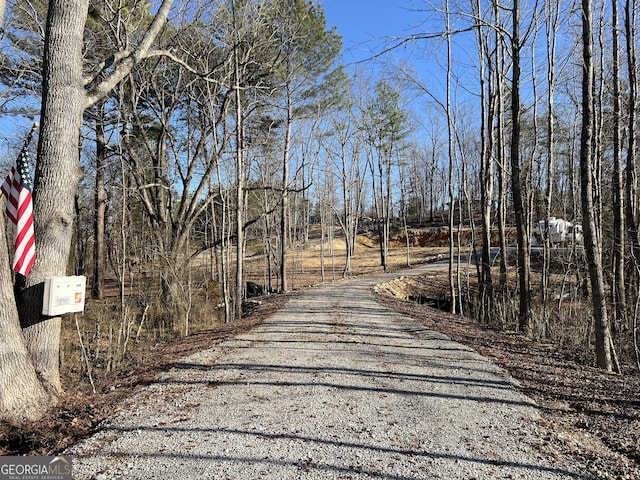 249 Ellis Rd SE, Rome GA, 30161 land for sale