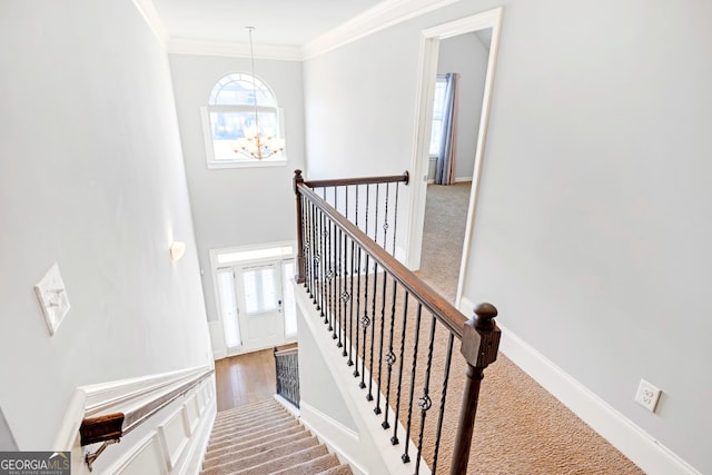 stairway featuring ornamental molding, a chandelier, and carpet