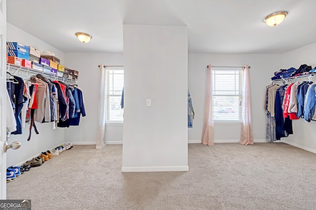 spacious closet with carpet