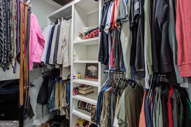 view of spacious closet