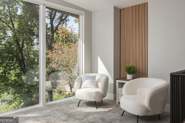 living area featuring radiator heating unit and carpet