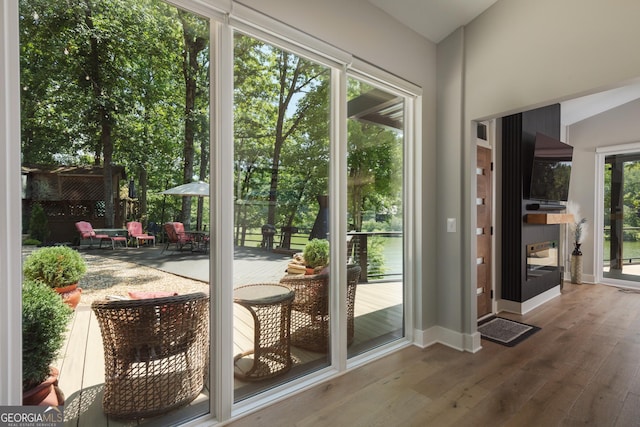 doorway to outside featuring hardwood / wood-style floors