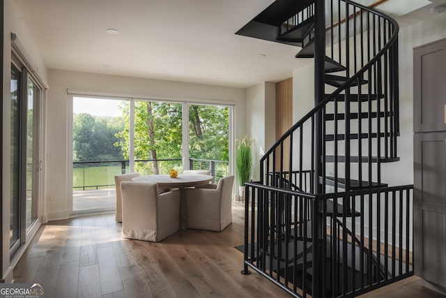 interior space with wood-type flooring