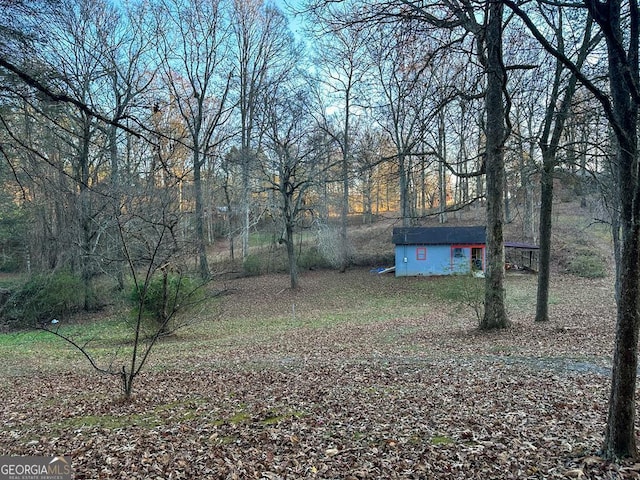 view of yard with an outbuilding