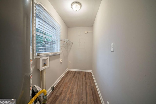 laundry area featuring washer hookup and dark hardwood / wood-style floors